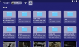 秒播视频,一秒掌握视频内容概览